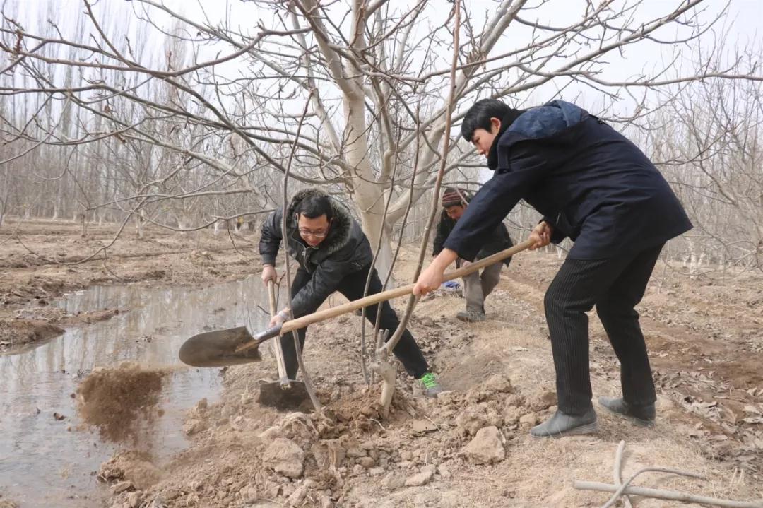 揮灑汗水3月4日,自治區人民檢察院駐拜城縣賽裡木鎮拉帕村