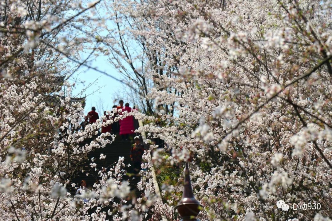 白午生态移民小区山体公园