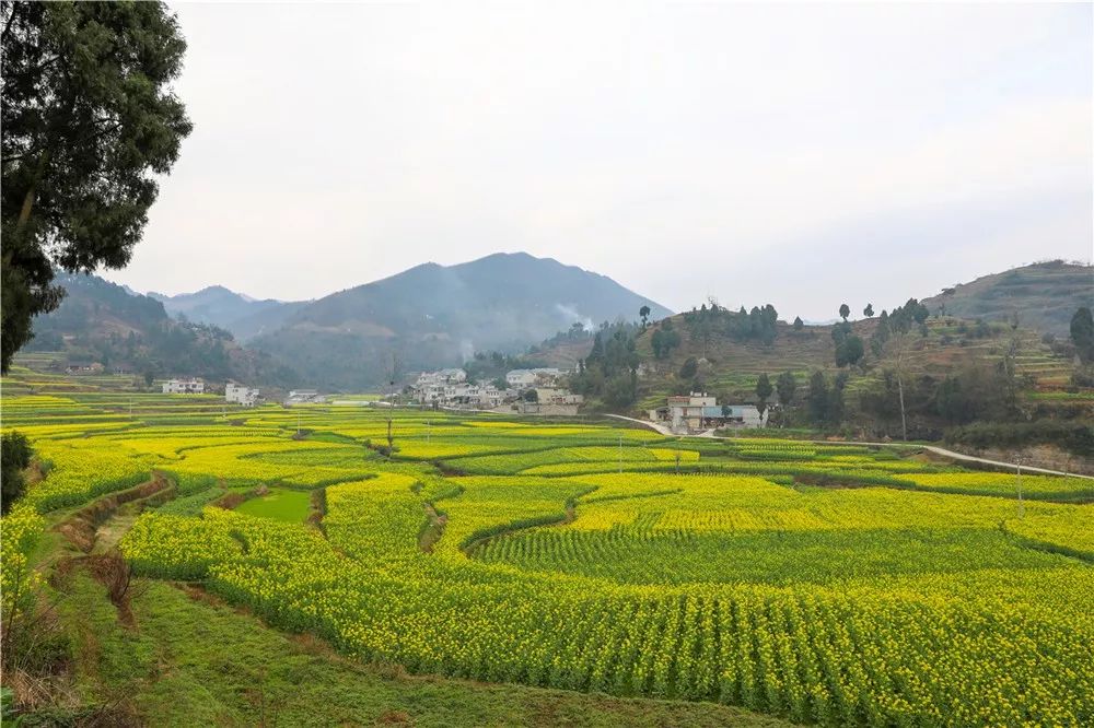 摄于马蹄镇平海村 曾慎明摄于枫香镇花茂村 曾慎明编辑:何萍 校对