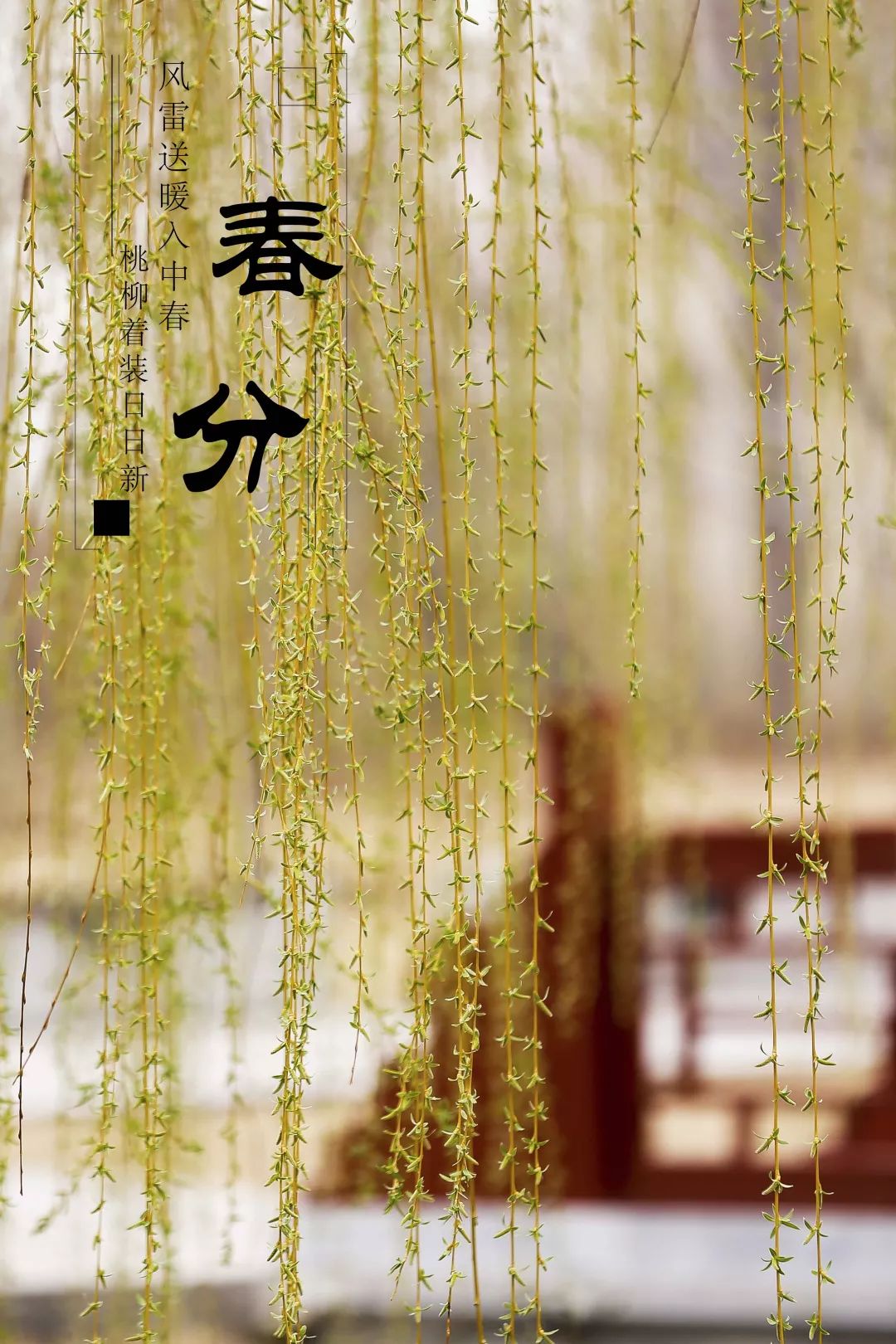 春分雨腳落聲微柳岸斜風帶客歸時令北方偏向晚可知早有綠腰肥詠廿四氣