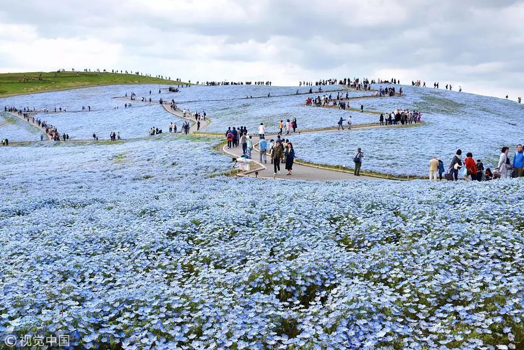 茨城國營日立海濱公園