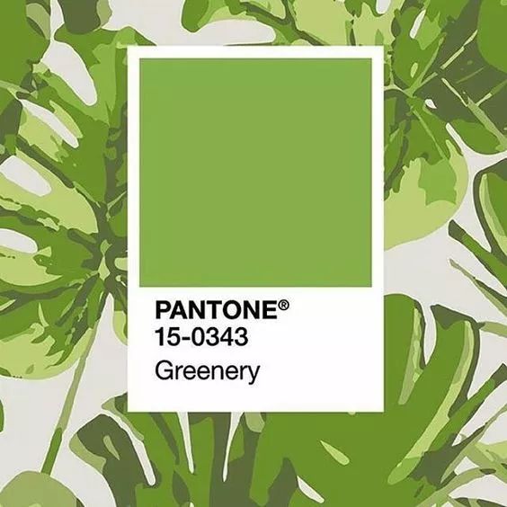pantone而绿色就多次被pantone彩通选为年度流行色作为全球色彩权威与