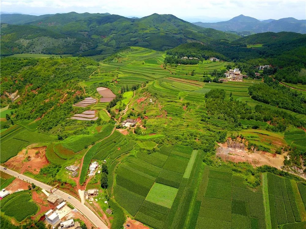 东邻陆兴,南邻雨碌,西邻新街,北邻者海坝子