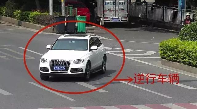 惡性揭陽一大批逆行車輛被抓拍曝光照片全高清