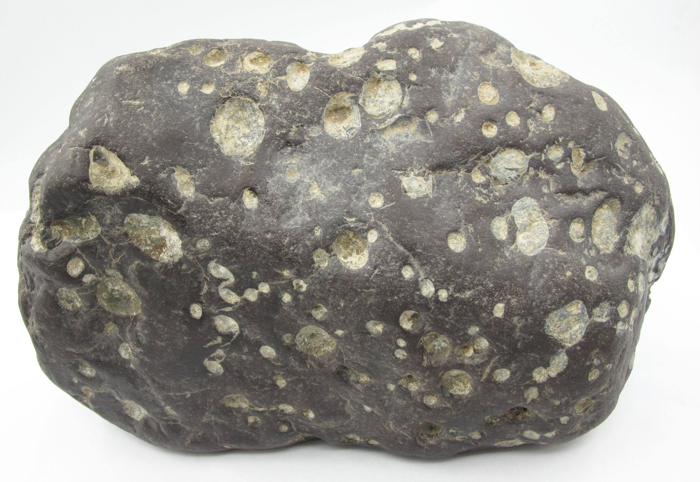 陨石表面镍斑图片图片