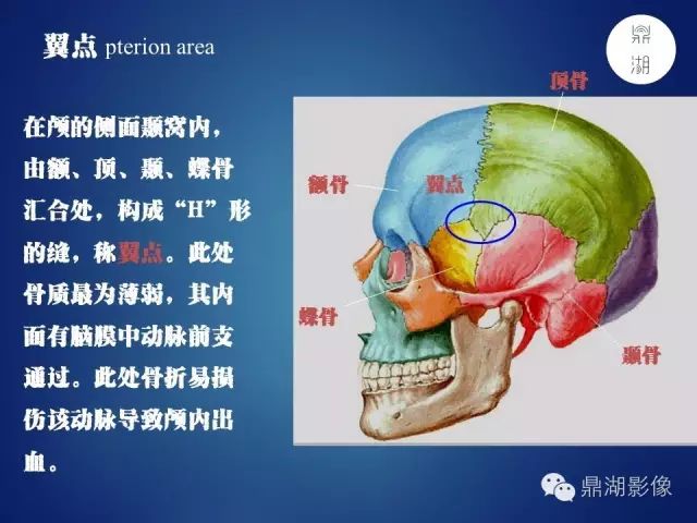 颅骨彩图解剖(必点收藏)_影像