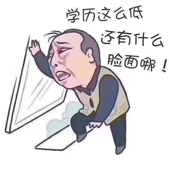 都挺好苏大强题明哲给我报学历了吗我好难受