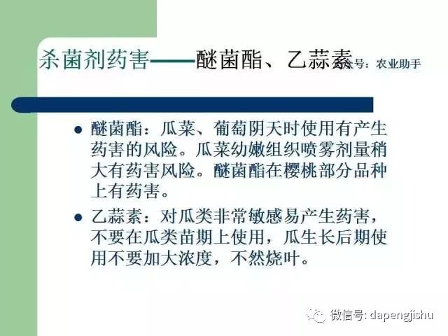 農藥藥害高清圖譜史上最全版毒死蜱吡蟲啉百菌清等常見農害