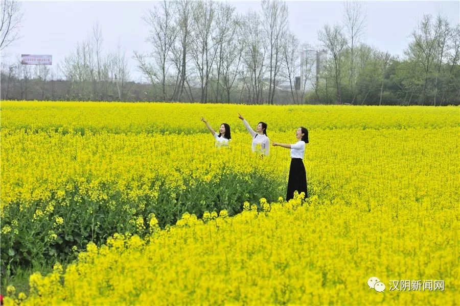 2019年安康春來早暨中國銀行杯漢陰油菜花旅遊季系列活動正式啟動