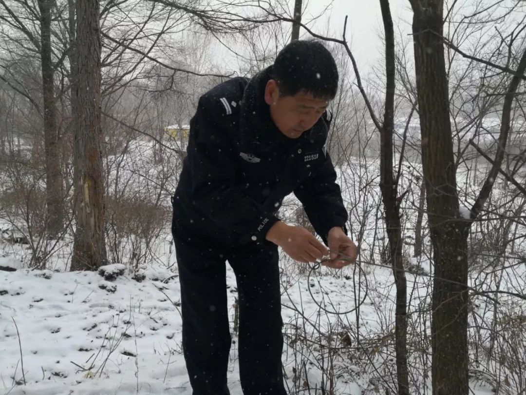 "这是违法犯罪分子下的套子,为了套野猪,狍子,野鸡之类的'野味儿.