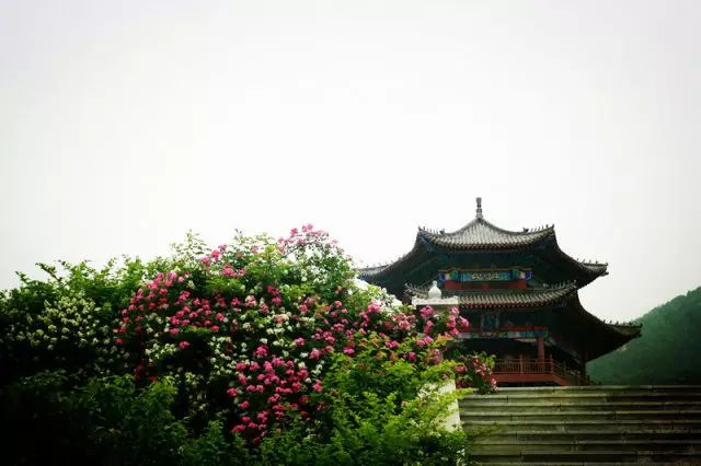 新泰莲花山风景区