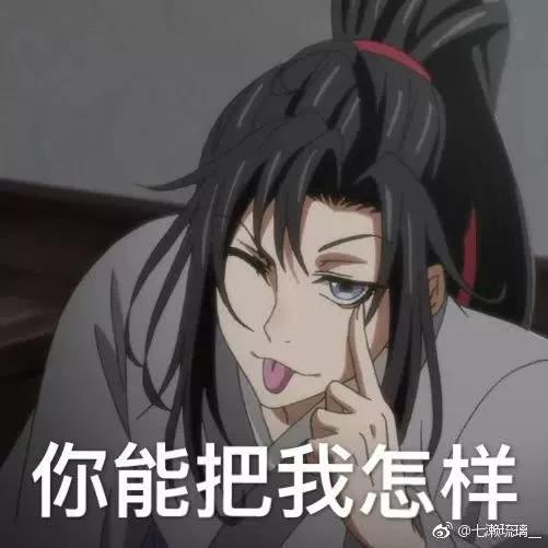 魔道祖师表情包:你能把我怎样