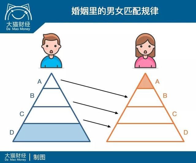 男女择偶金字塔图片