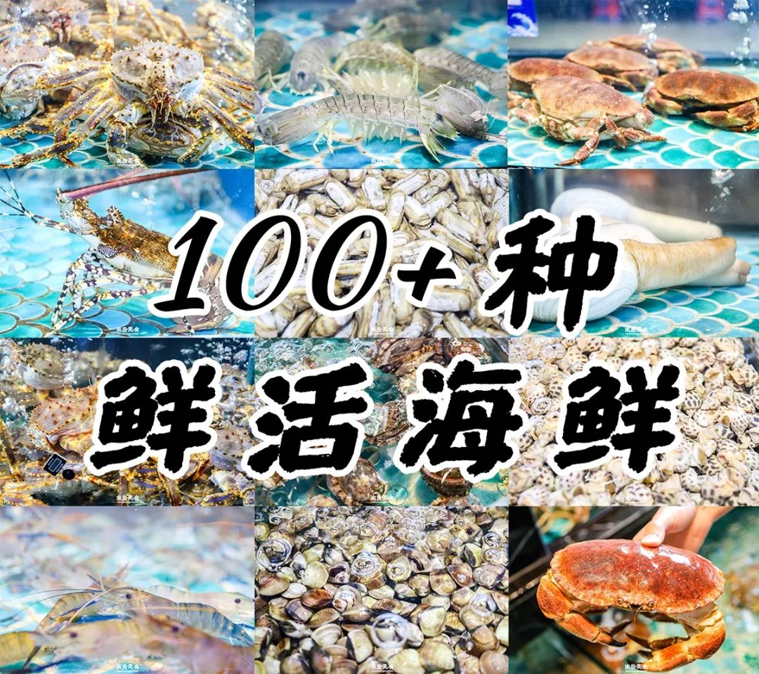 復刻海鮮市場,100 品類海鮮吃到嗨!_牛骨頭