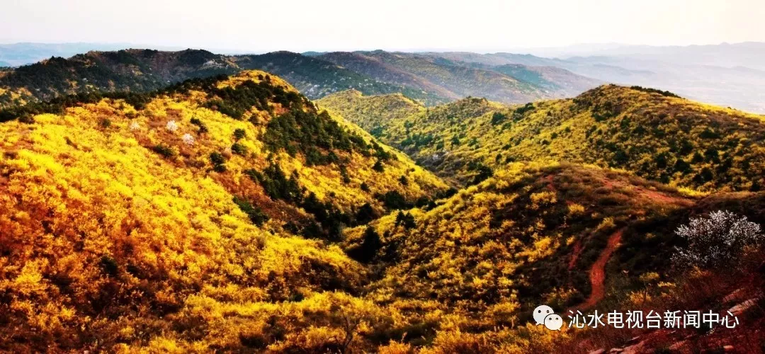 千年古縣如畫沁水第三屆山西沁水趙樹理文化旅遊嘉年華即將盛情開啟