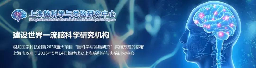 上海腦科學與類腦研究中心2019年人才招聘啟事