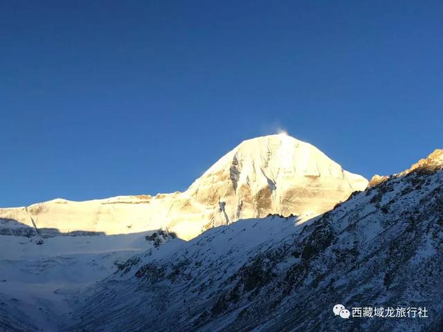 耆那龙图片