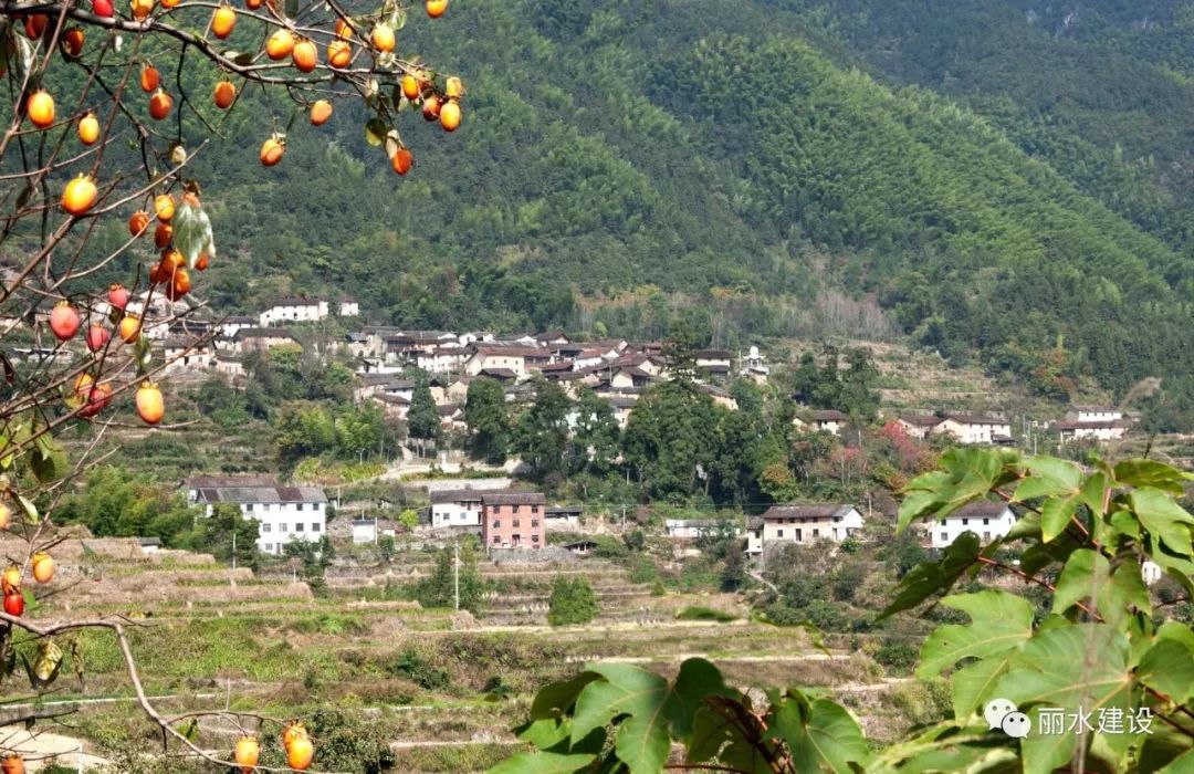 紅色文化名人故里龍泉安仁鎮季山頭村