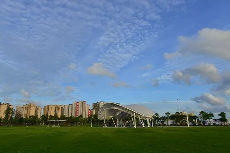 30—17:30在航空新城金山公園