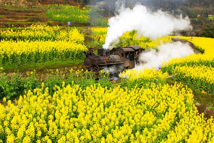 成都開車自駕遊嘉陽小火車旅遊幾天最合適