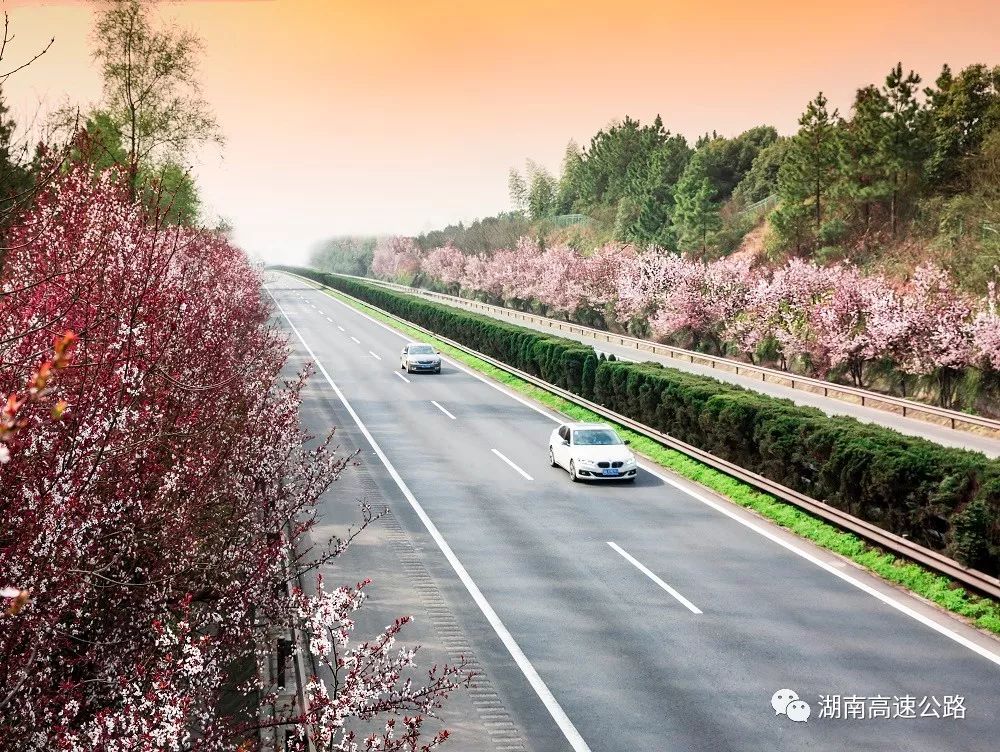 春天里的高速公路,原来这么美!丨看见