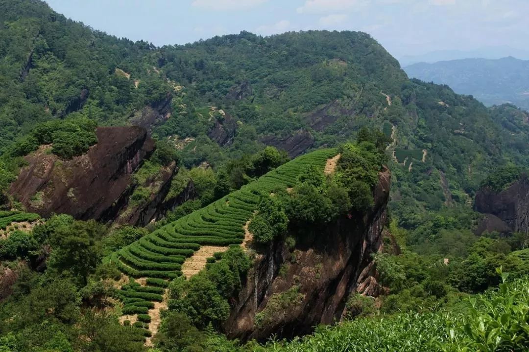 武夷山景區內的竹窠