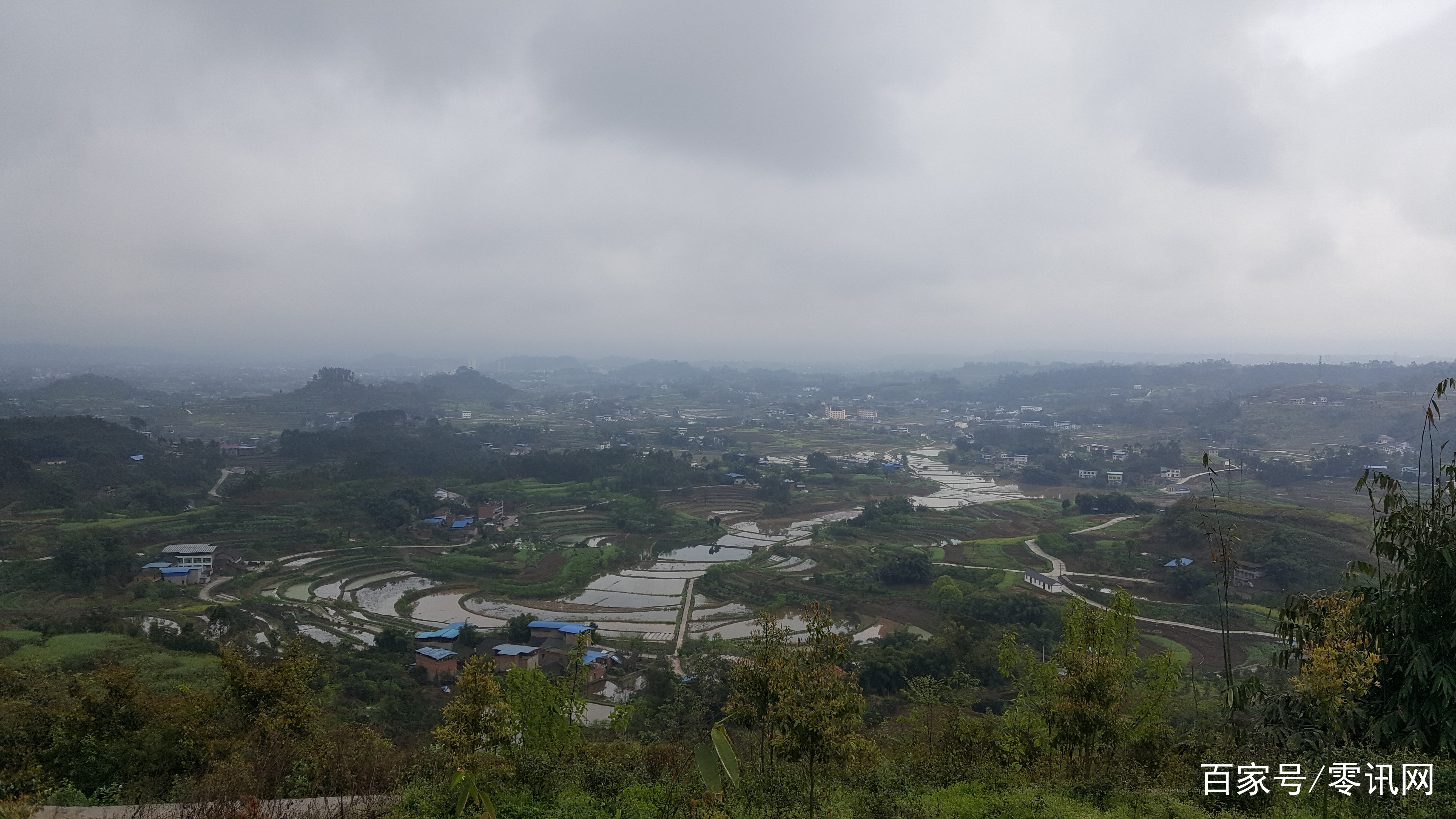 雨蒙蒙情意浓民革永川区委综合三支部党员活动日走进宝峰镇本尊寺茶山