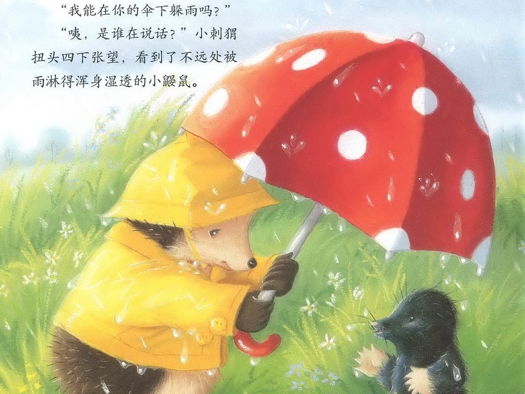雨中的故事动画版图片