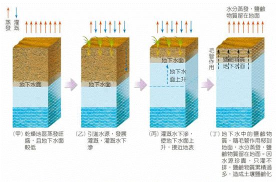 土壤盐碱化示意图盐碱化的大棚盐碱化土壤种出大蔬菜(以上图片及文字