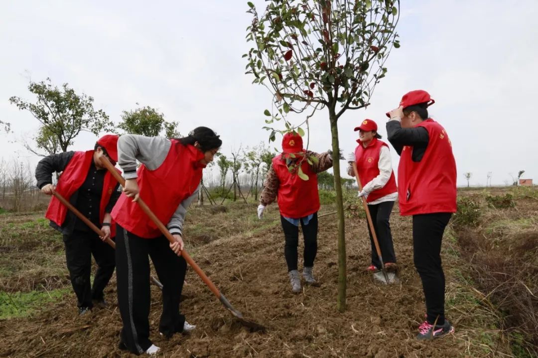 长丰县造甲乡红色基地图片