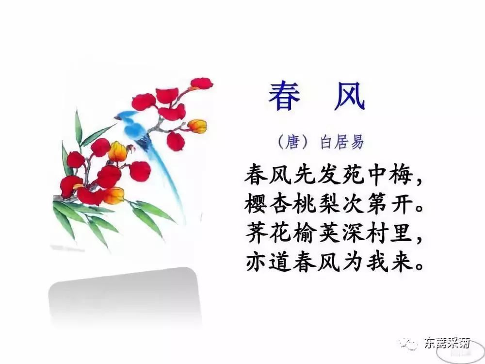 春风唐白居易的古诗图片