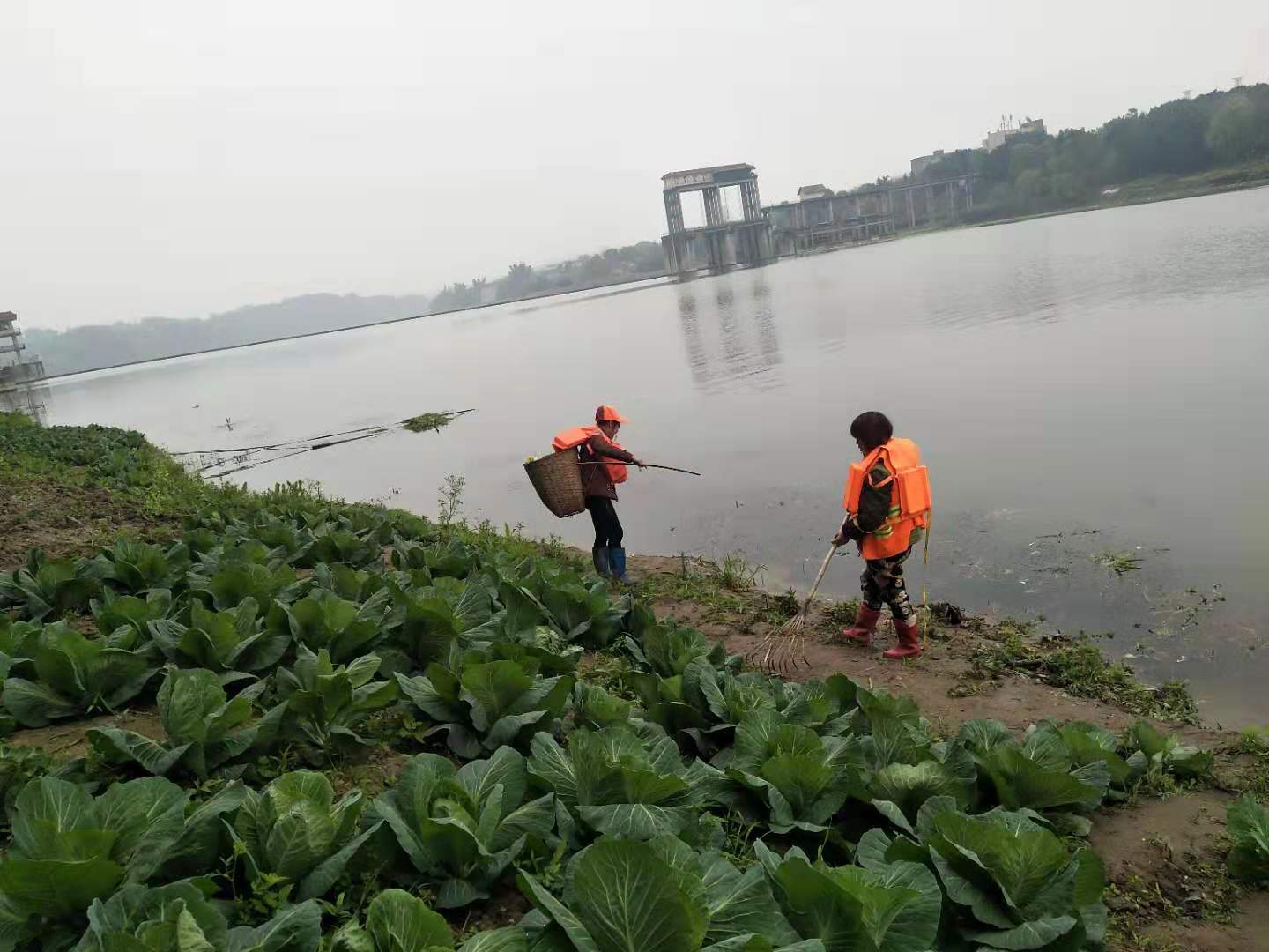 泸州市海潮镇图片