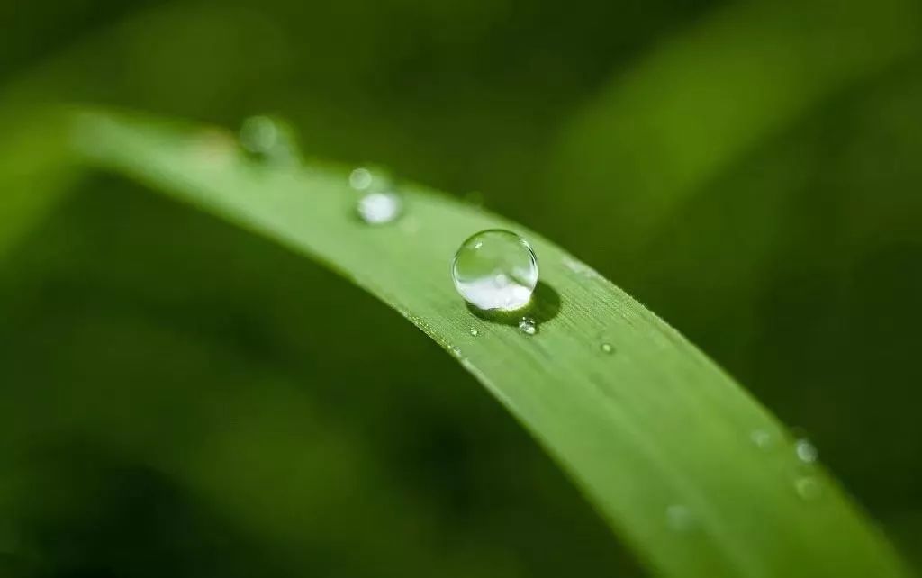 心靈音樂微風細雨迎接美好的週末