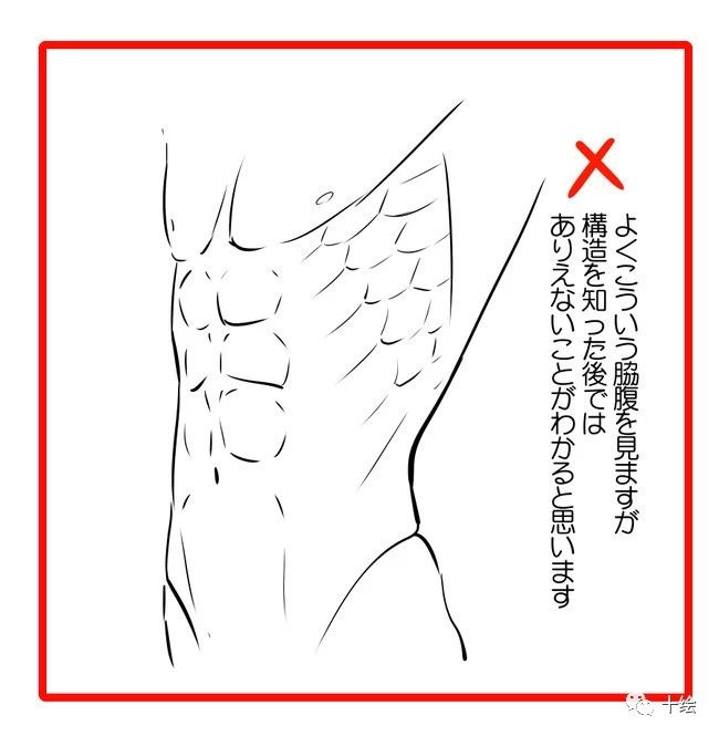 男性腹肌怎么画怎么画人体肌肉