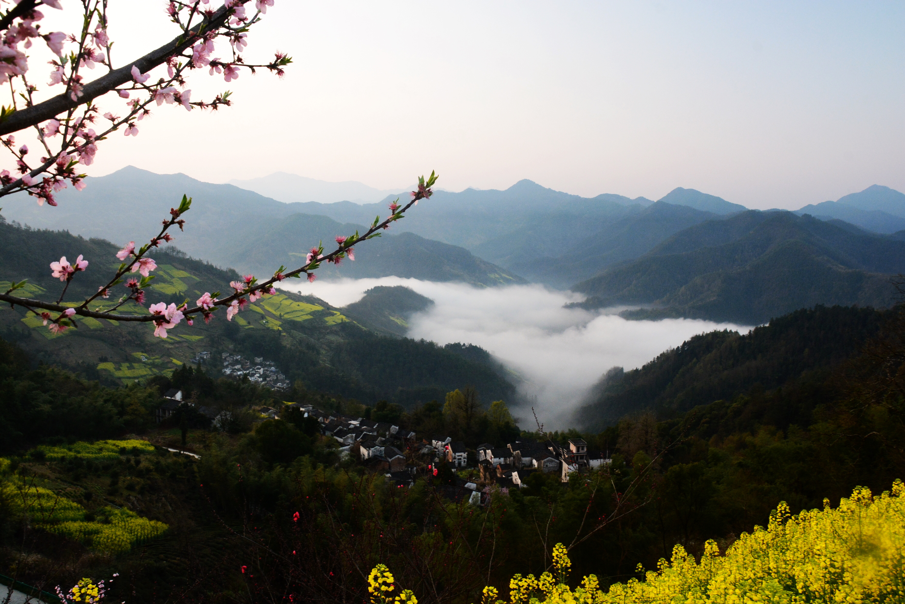 歙縣石潭:花海雲海和人海,亮瞎了眼