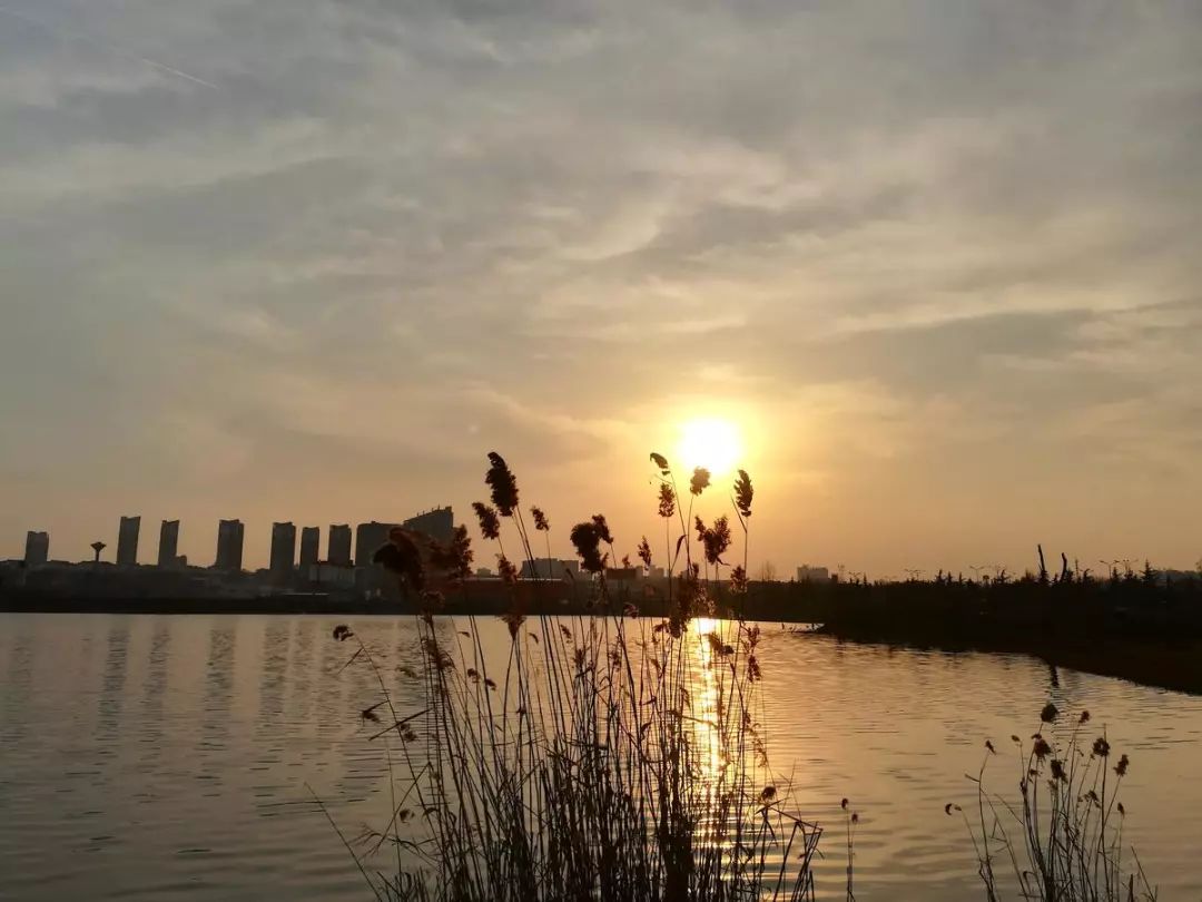 下午5:36淮西湖夕阳美景!