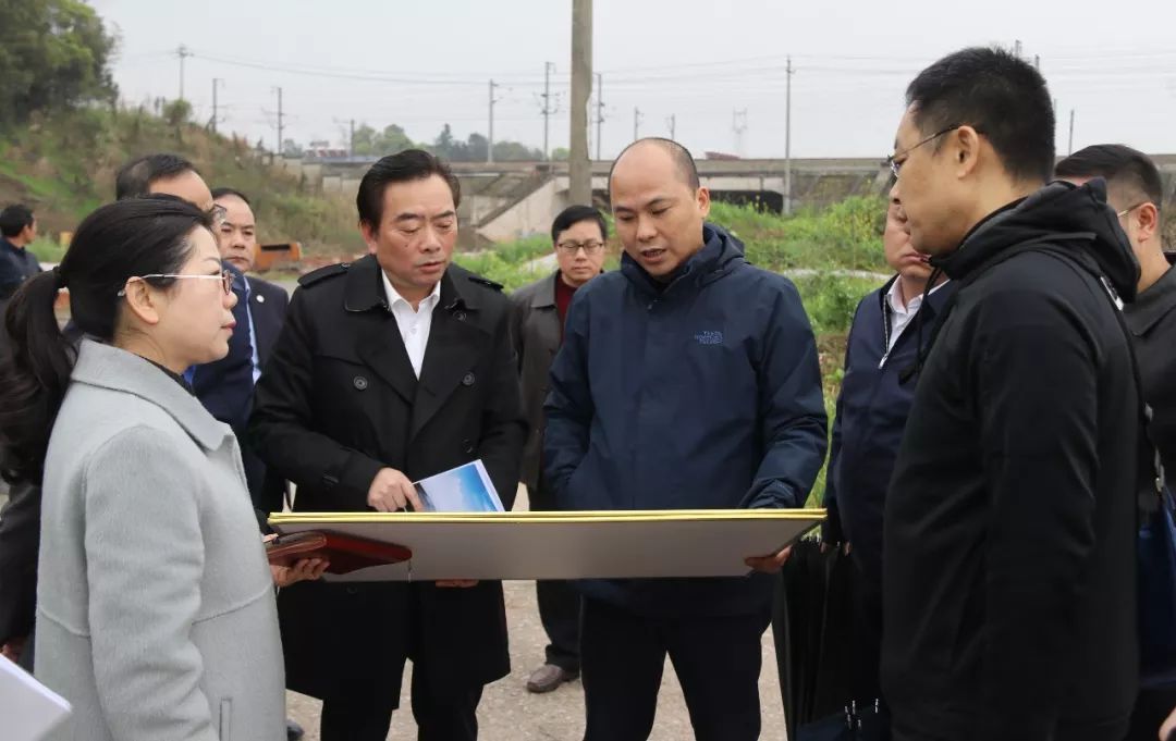 湘江集团刘文杰简介图片