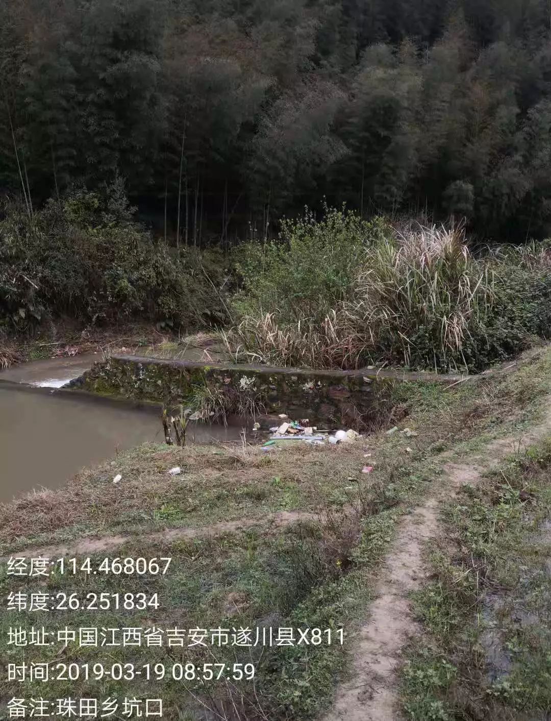 雙橋鄉黃坑鄉左安鎮湯湖鎮枚江鎮衙前鎮營盤圩鄉碧洲鎮大汾鎮南江鄉