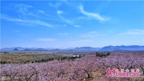 泗水县圣水峪镇地图图片