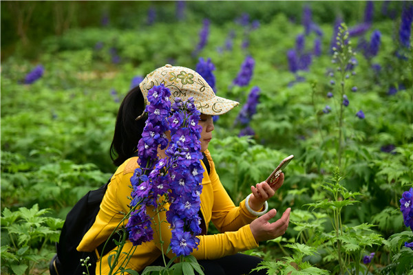 廣州花都香草世界有個根雕博物館,一個樹樁雕出開屏孔雀