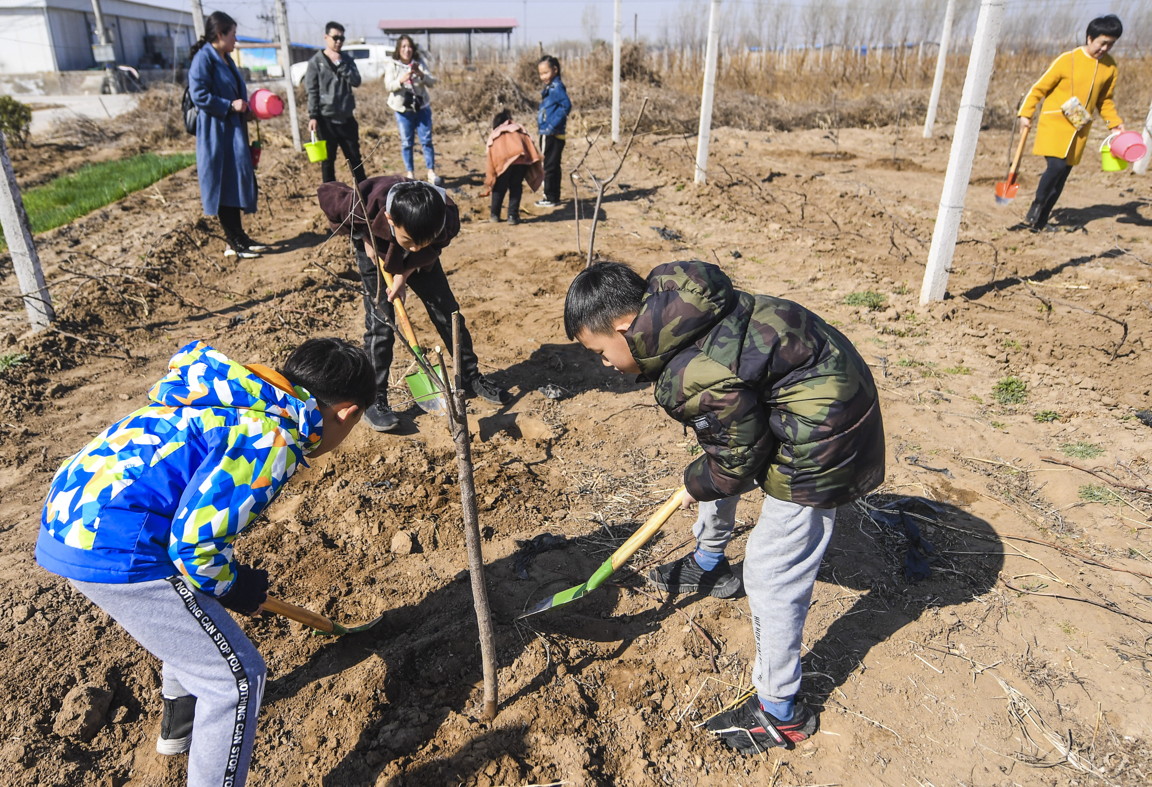 3月24日,在河北省廊坊市广阳区北旺乡润宝农业基地,游客在栽种树苗.