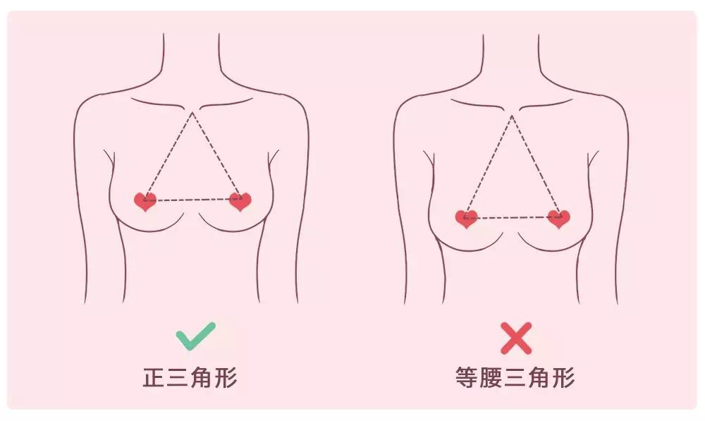 什么是乳头 女性 大小图片