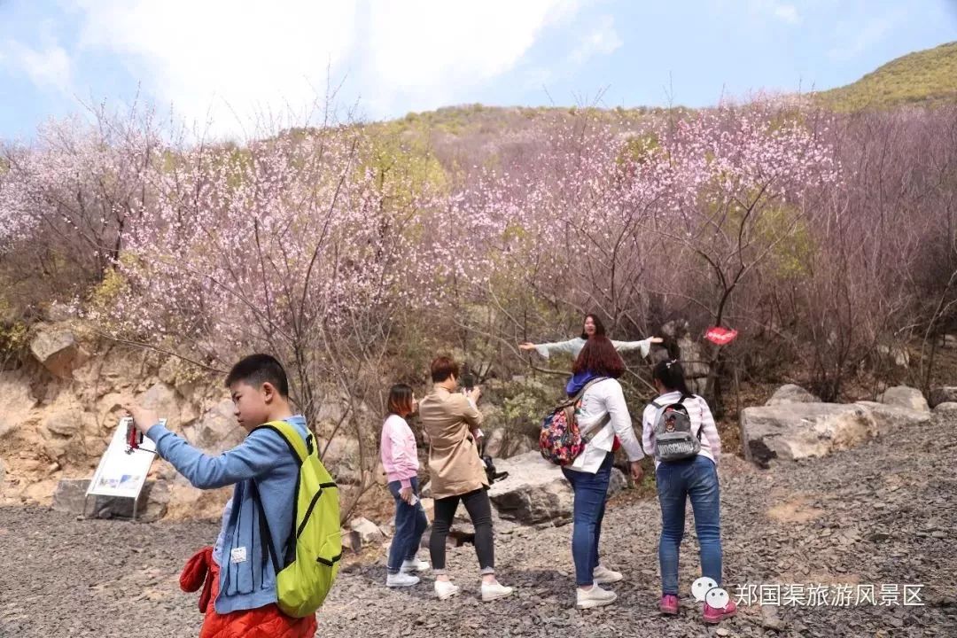 2分鐘鳥瞰涇陽鄭國渠景區漫山桃花美極啦