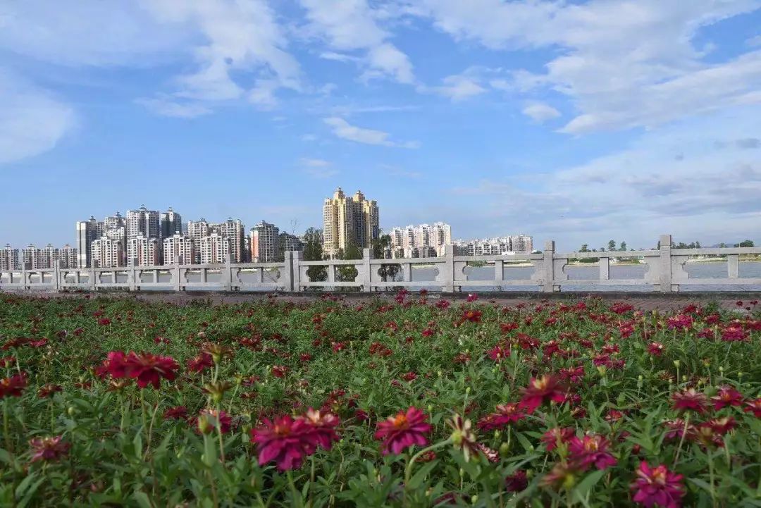 井岸鎮霞山公園