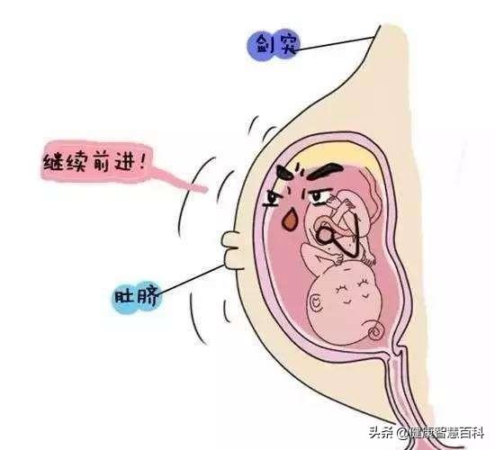 导致肠道蠕动变慢,食物和水分在结肠中停留时间越长,水分就会被吸收的