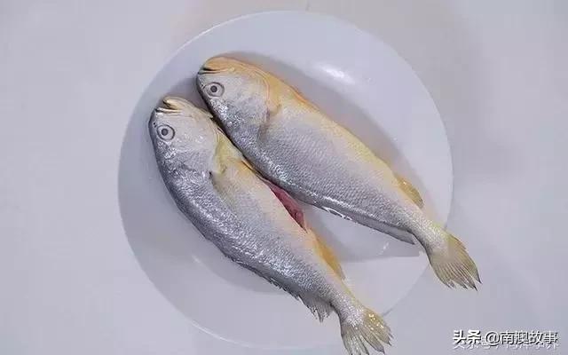 你經常吃的中小型海魚你都知道名字嗎