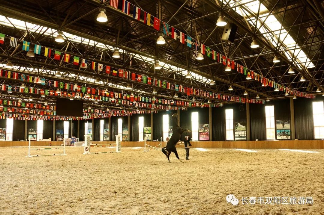 其它馬種70餘匹;建有3000平方米的室內馬術場地,20000平方米的室外