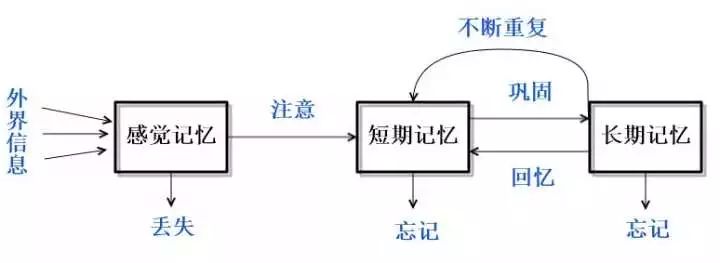 【就是爱提问】为啥一紧张就会脑子空白?_工作记忆