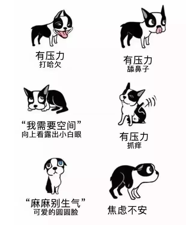 你了解狗狗们的肢体语言吗？