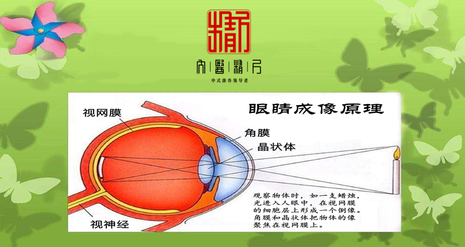 調節和縮瞳三個動作,雙眼內直肌同時等量收縮,睫狀肌收縮使晶狀體變凸